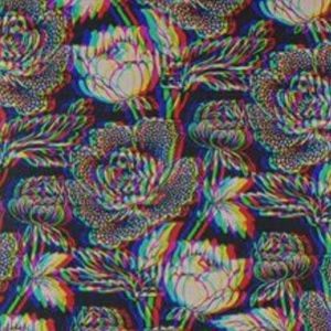 Meet your Posher, Alexander